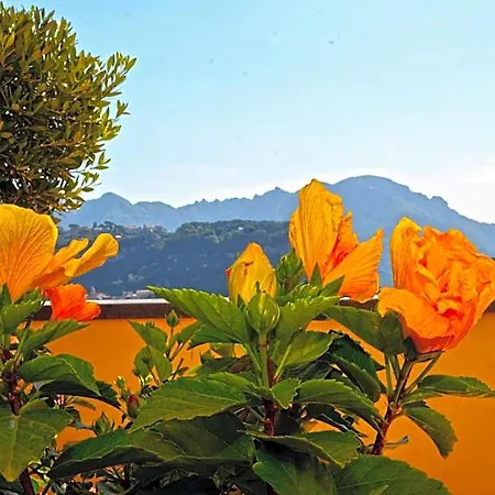 Bed & Breakfast Maria Amalfi